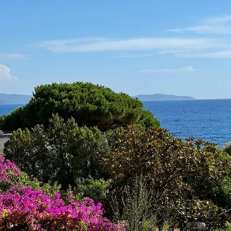 Ajaccio Très Belle Vue Mer, A Qq Pas Des Plages Route Des Sanguinaires Appartement