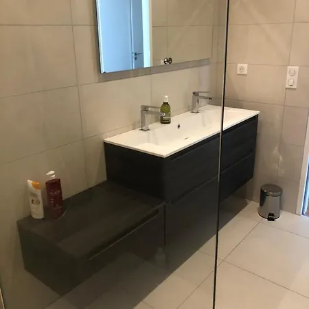 4 Couchages, Climatise A 150m De La Route Des Sanguinaires, Parking Prive Apartment