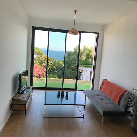 Lejlighed 4 Couchages, Climatise A 150m De La Route Des Sanguinaires, Parking Prive Ajaccio (Corsica)
