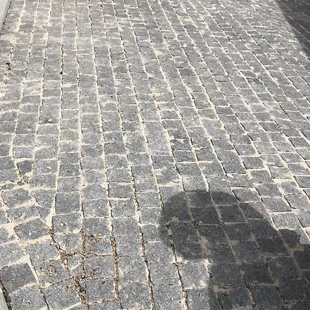 4 Couchages, Climatise A 150m De La Route Des Sanguinaires, Parking Prive