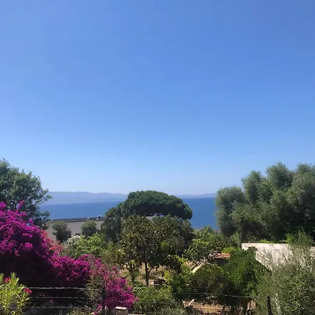 4 Couchages, Climatise A 150m De La Route Des Sanguinaires, Parking Prive Lejlighed