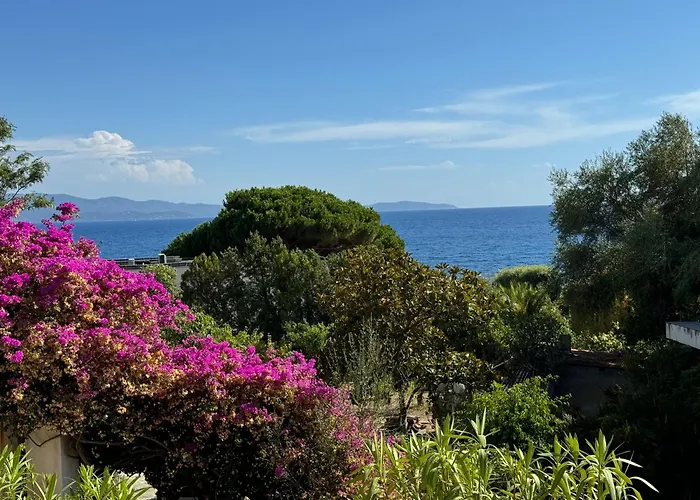 4 Couchages, Climatisé A 150m De La Route Des Sanguinaires, Parking Privé Appartement