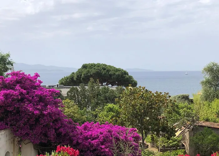 4 Couchages, Climatise A 150m De La Route Des Sanguinaires, Parking Prive Ajaccio (Corsica)